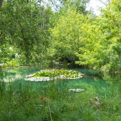 Jardins de Chaumont.